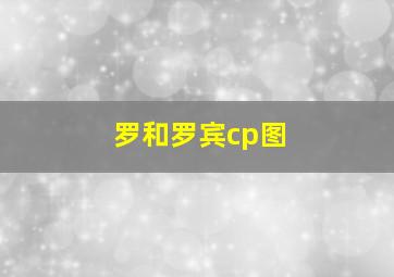 罗和罗宾cp图