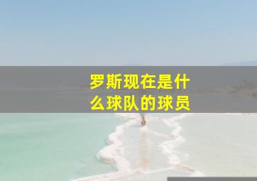 罗斯现在是什么球队的球员