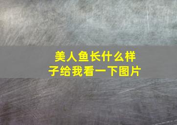 美人鱼长什么样子给我看一下图片