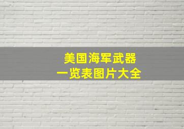 美国海军武器一览表图片大全