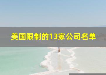 美国限制的13家公司名单