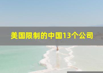 美国限制的中国13个公司