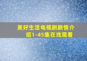 美好生活电视剧剧情介绍1-45集在线观看