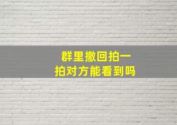 群里撤回拍一拍对方能看到吗