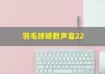 羽毛球磅数声音22