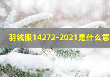 羽绒服14272-2021是什么意思