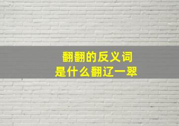 翻翻的反义词是什么翻辽一翠