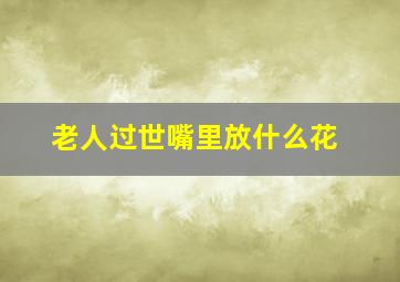 老人过世嘴里放什么花