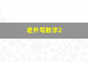 老外写数字2