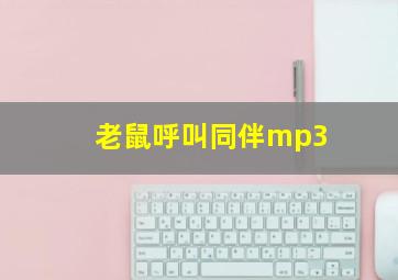 老鼠呼叫同伴mp3