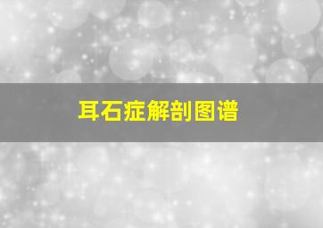 耳石症解剖图谱