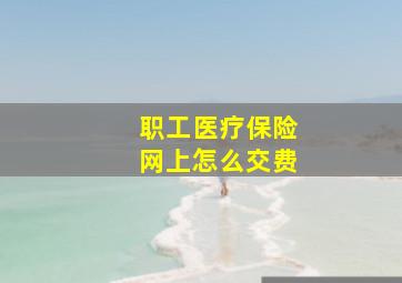 职工医疗保险网上怎么交费