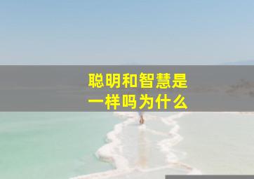 聪明和智慧是一样吗为什么