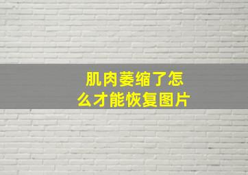 肌肉萎缩了怎么才能恢复图片