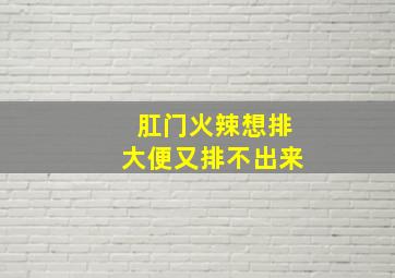 肛门火辣想排大便又排不出来