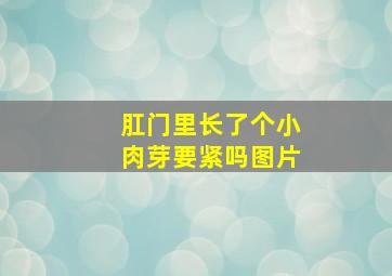 肛门里长了个小肉芽要紧吗图片