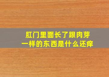 肛门里面长了跟肉芽一样的东西是什么还痒