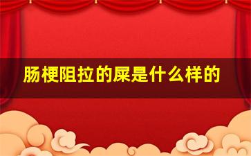 肠梗阻拉的屎是什么样的