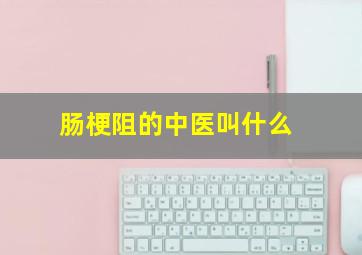 肠梗阻的中医叫什么