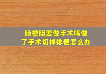 肠梗阻要做手术吗做了手术切掉排便怎么办