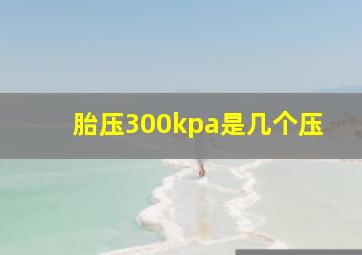 胎压300kpa是几个压