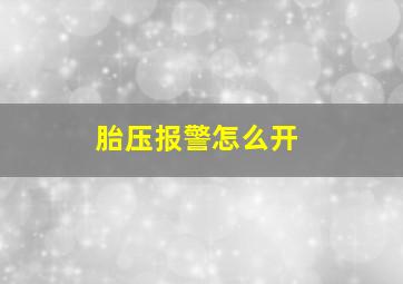 胎压报警怎么开