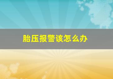 胎压报警该怎么办