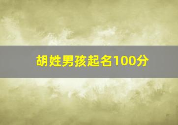 胡姓男孩起名100分