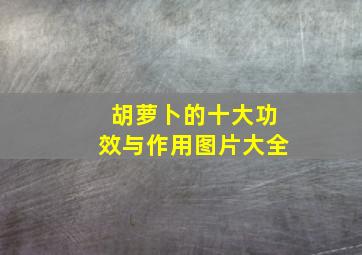 胡萝卜的十大功效与作用图片大全