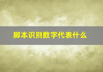 脚本识别数字代表什么