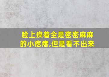 脸上摸着全是密密麻麻的小疙瘩,但是看不出来