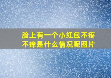 脸上有一个小红包不疼不痒是什么情况呢图片