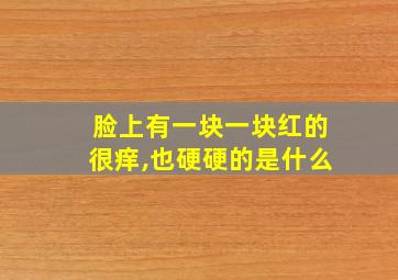 脸上有一块一块红的很痒,也硬硬的是什么