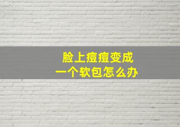 脸上痘痘变成一个软包怎么办