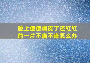 脸上痘痘爆皮了还红红的一片不痛不痒怎么办