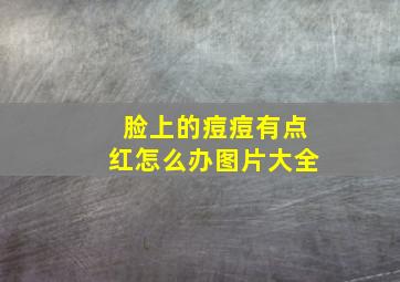 脸上的痘痘有点红怎么办图片大全