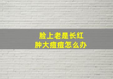 脸上老是长红肿大痘痘怎么办