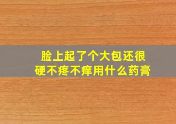 脸上起了个大包还很硬不疼不痒用什么药膏