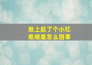 脸上起了个小红疙瘩是怎么回事