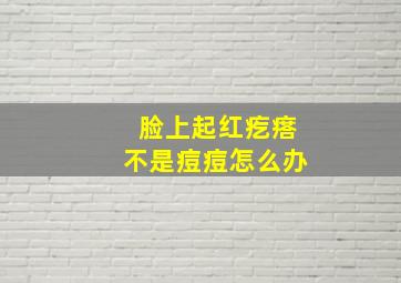 脸上起红疙瘩不是痘痘怎么办