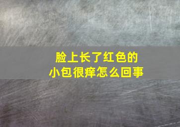 脸上长了红色的小包很痒怎么回事