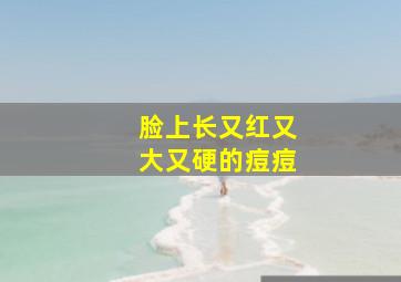 脸上长又红又大又硬的痘痘