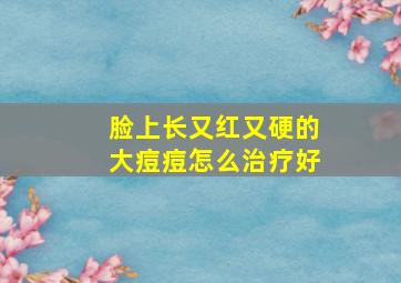 脸上长又红又硬的大痘痘怎么治疗好