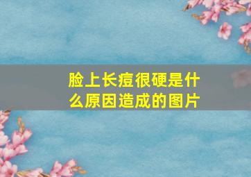 脸上长痘很硬是什么原因造成的图片