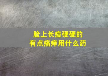 脸上长痘硬硬的有点痛痒用什么药