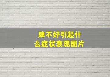 脾不好引起什么症状表现图片