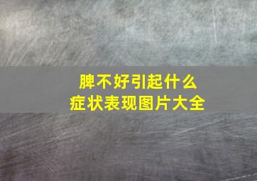 脾不好引起什么症状表现图片大全