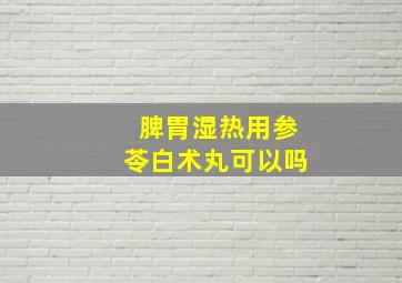 脾胃湿热用参苓白术丸可以吗