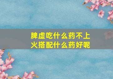 脾虚吃什么药不上火搭配什么药好呢