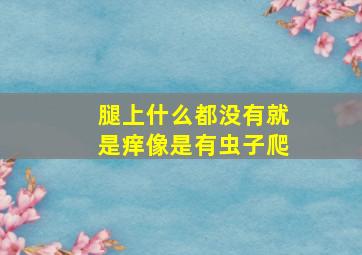 腿上什么都没有就是痒像是有虫子爬